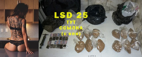 хмурый Корсаков