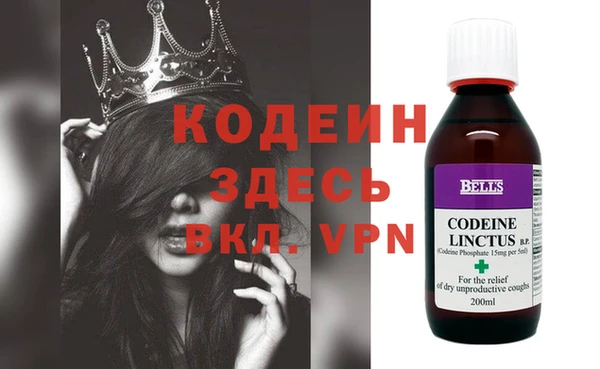 хмурый Корсаков