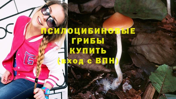 меф Козельск