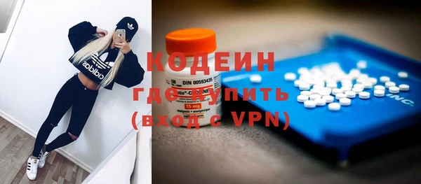 хмурый Корсаков