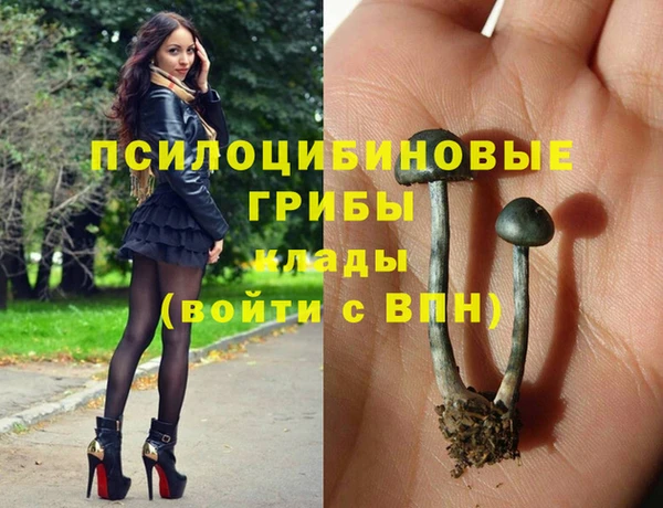 хмурый Корсаков
