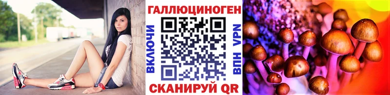 Галлюциногенные грибы прущие грибы  Купить  Гулькевичи 