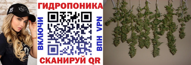 Купить  Гулькевичи  Марихуана тримм 